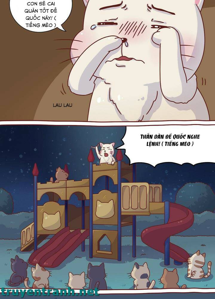 cây nấm kì khả chapter 8 6