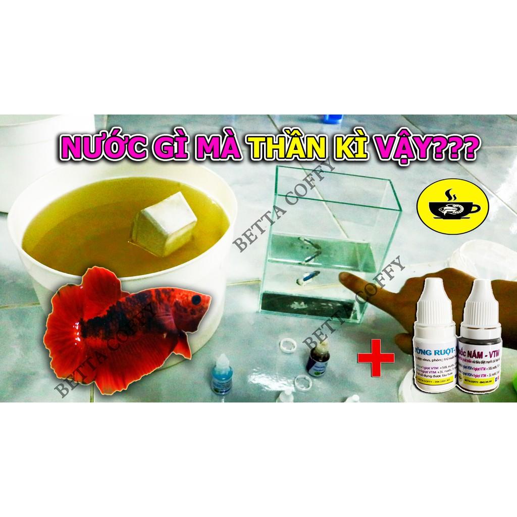 Vi Sinh - Đường Ruột + Nấm cho hồ cá nhỏ