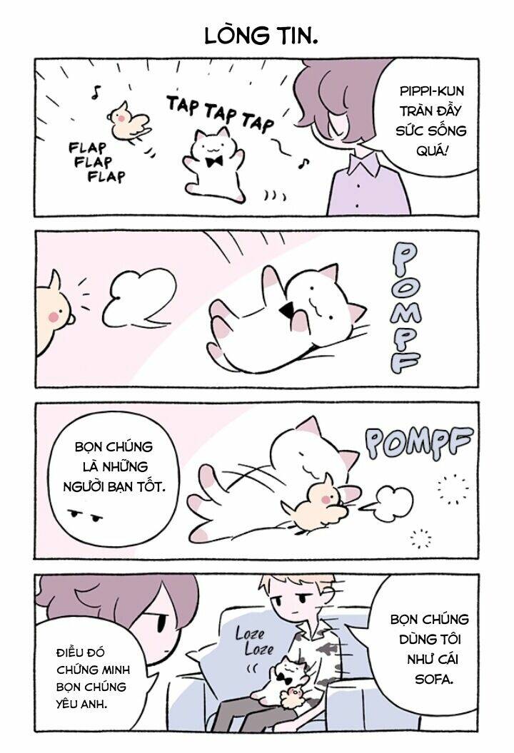 chú mèo kỳ diệu kyuu-chan chapter 687 3