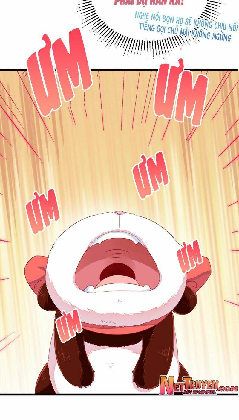 thiên thần gấu trúc muốn được ôm chapter 26 5
