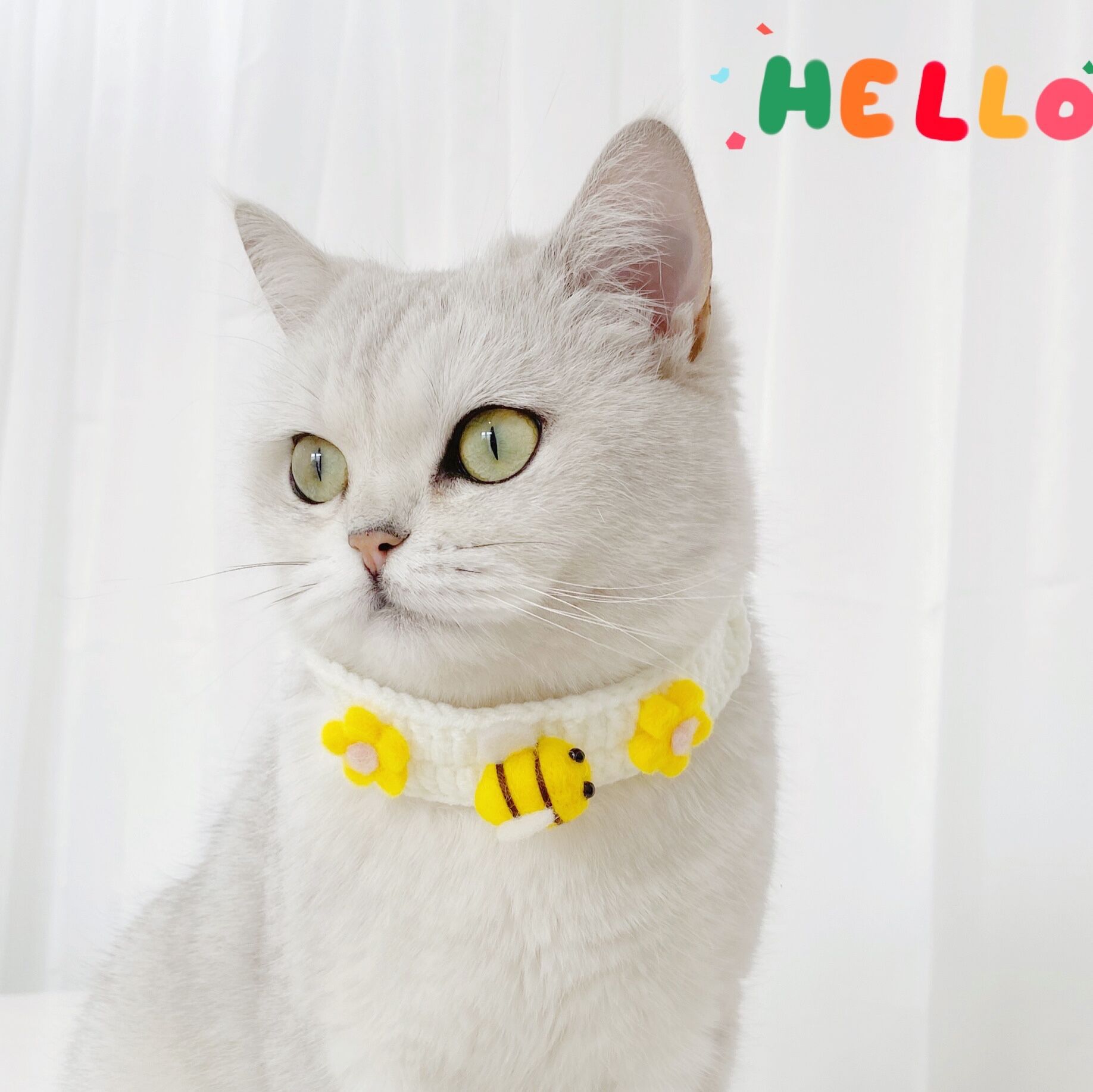 Vòng cổ len cao cấp cho chó mèo - Genyo Collar 062