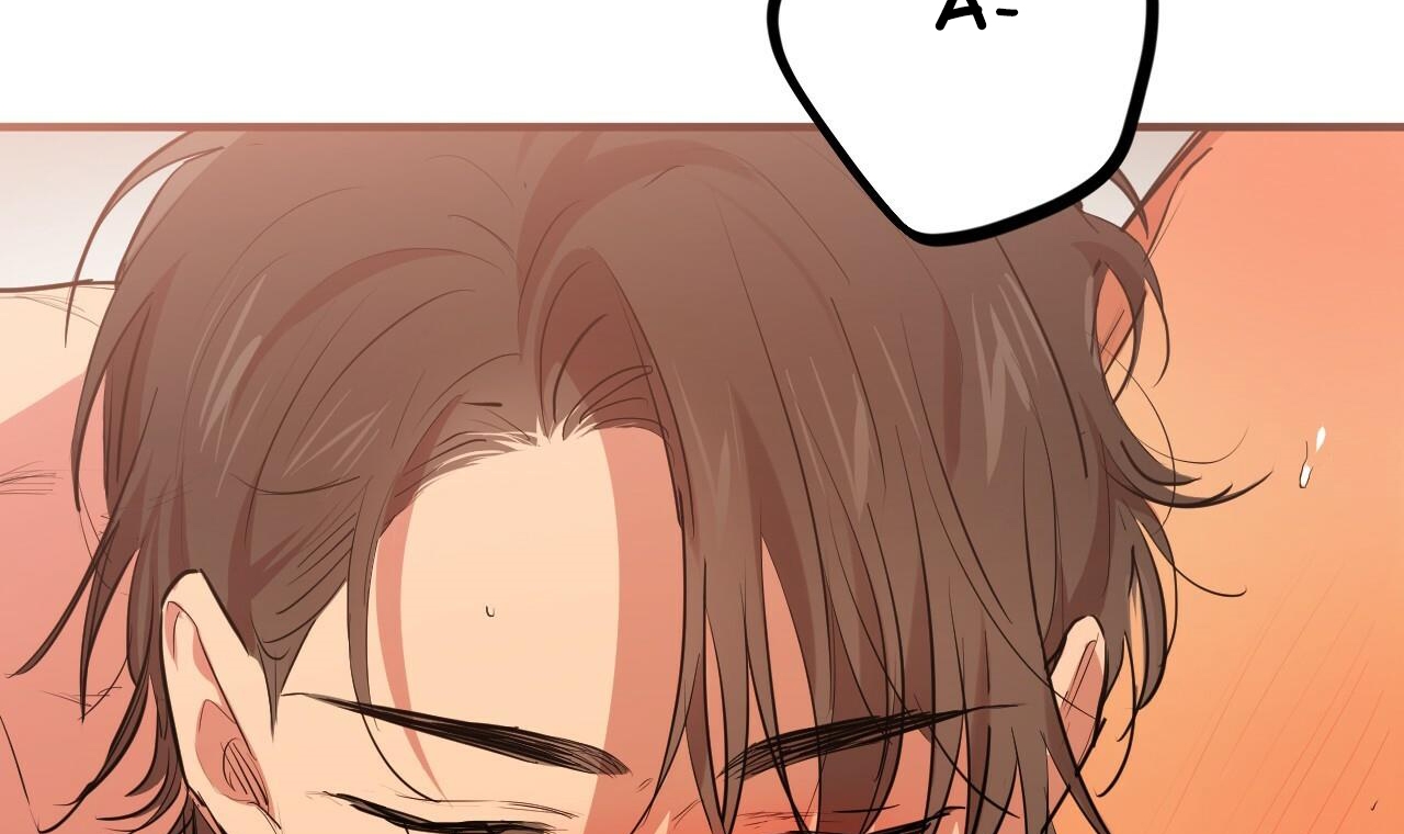 đàn thỏ của habibi chapter 25 60