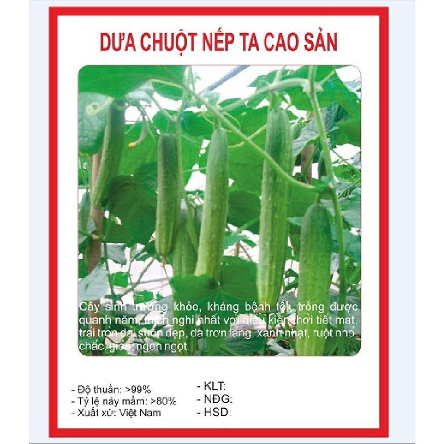 Combo 5 gói hạt giống dưa chuột mix loại – tặng 1 gói kích mầm