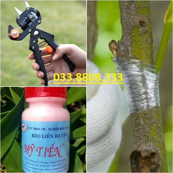 Combo Ghép Cây 3 món - 1 BỘ GHÉP CÀNH, CHIẾT CÀNH  + 1 Cuộn Ghép Giấy Tự Hủy + 1 Keo Liền Sẹo