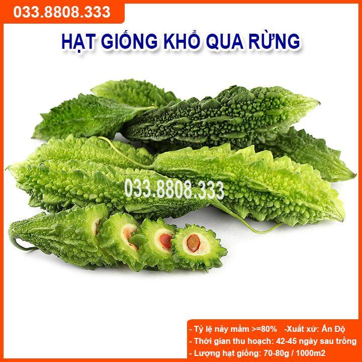 HẠT GIỐNG KHỔ QUA RỪNG CHẤT LƯỢNG CAO, GIỐNG CHUẨN