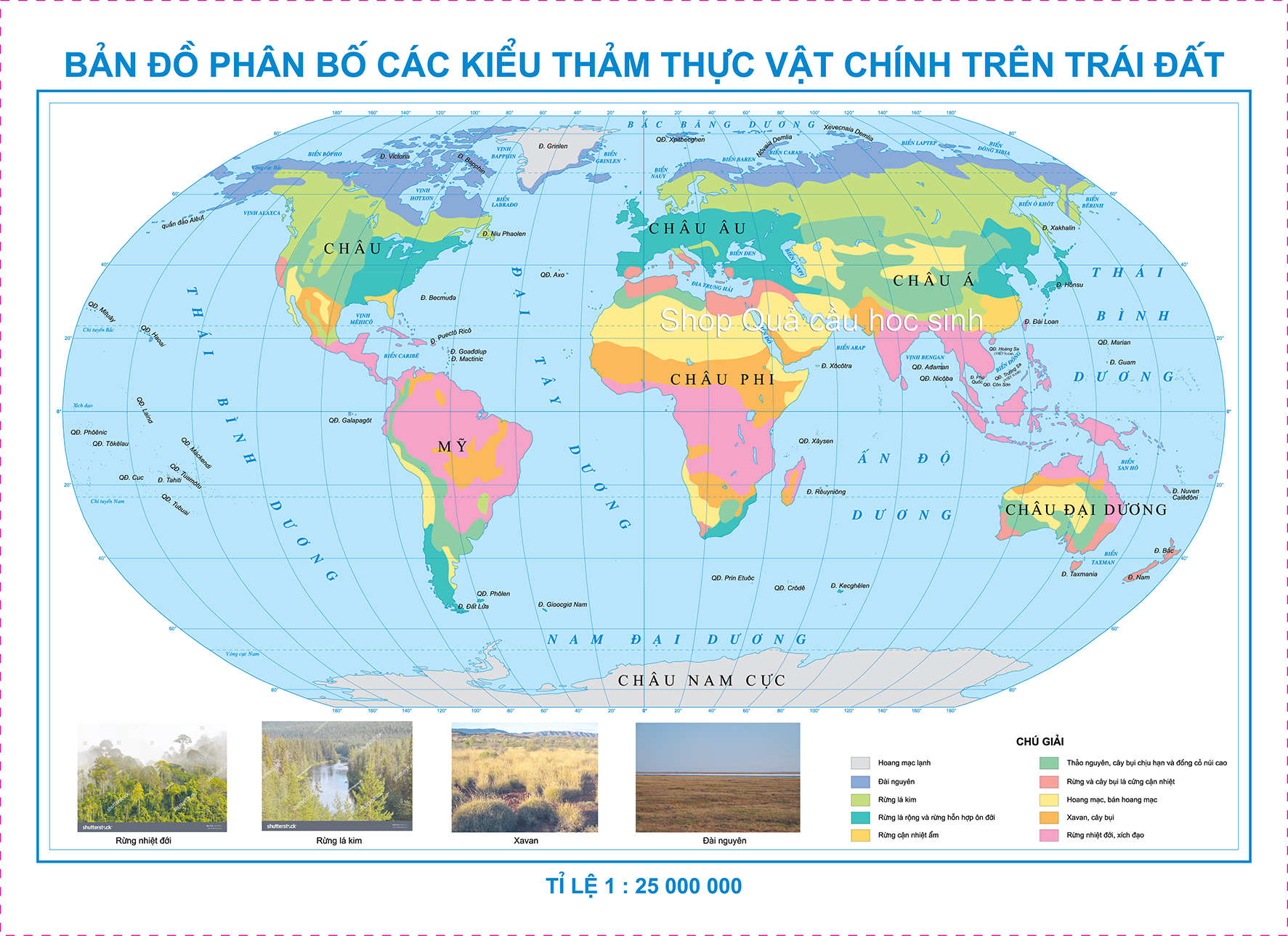 Phân bố các thảm thực vật chính trên trái đất khổ A0 (84x120cm)