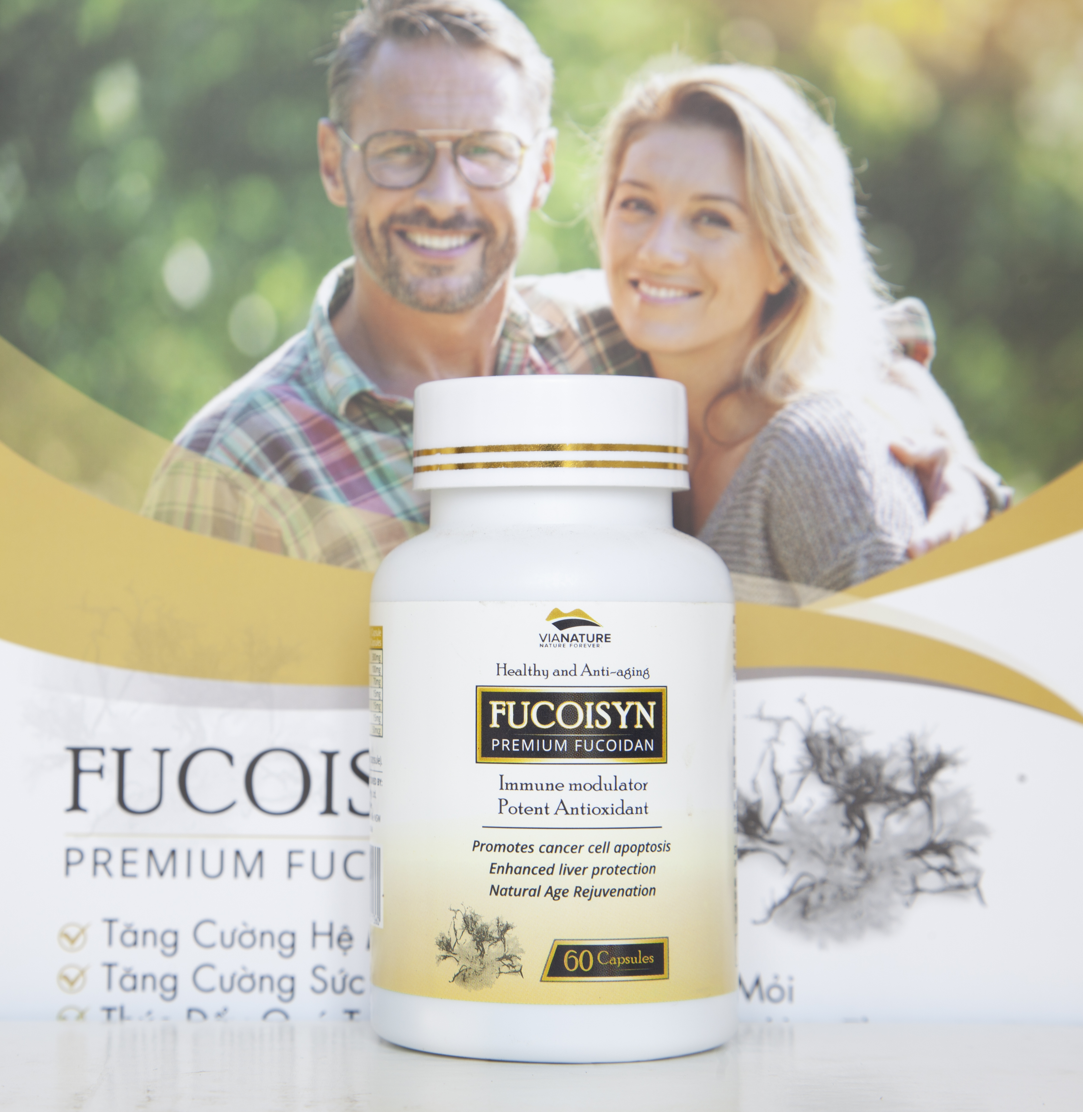 Viên uống Fucoisyn Premium Fucoidan Hỗ Thúc Đẩy Quá Trình Tự Chết Của tế Bào Ung Thư VIANATURE