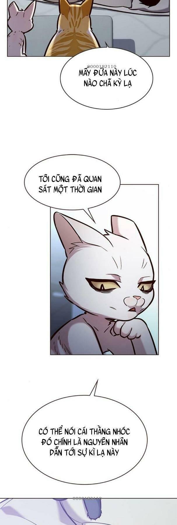 biến thân thành mèo chapter 190 25