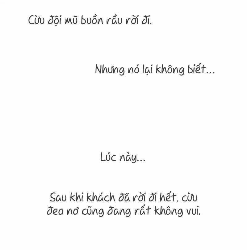 bắt đầu từ 1 lời nói dối chapter 0 14