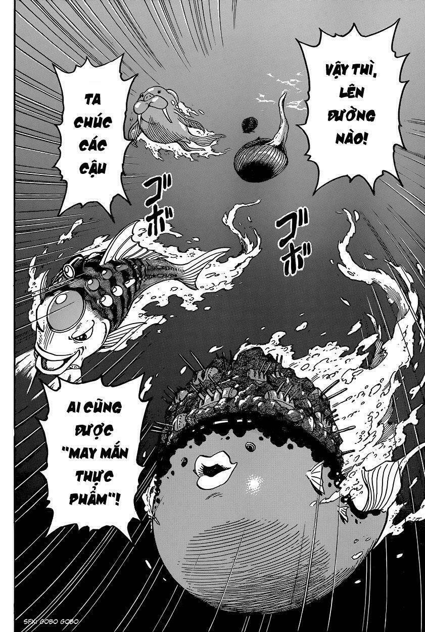 thợ săn ẩm thực chapter 327 5