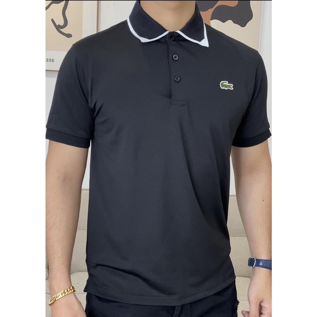 Áo polo nam cao cấp - chất cotton 100%