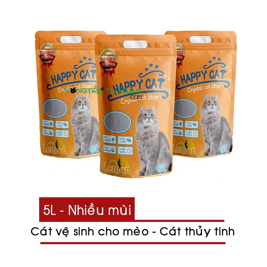 Cát Happy Cat