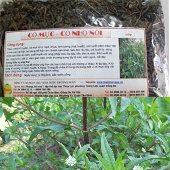 Cây nhọ nồi - Cây cỏ mực - Sản phăm hữu cơ tự nhiên - Khô 1kg