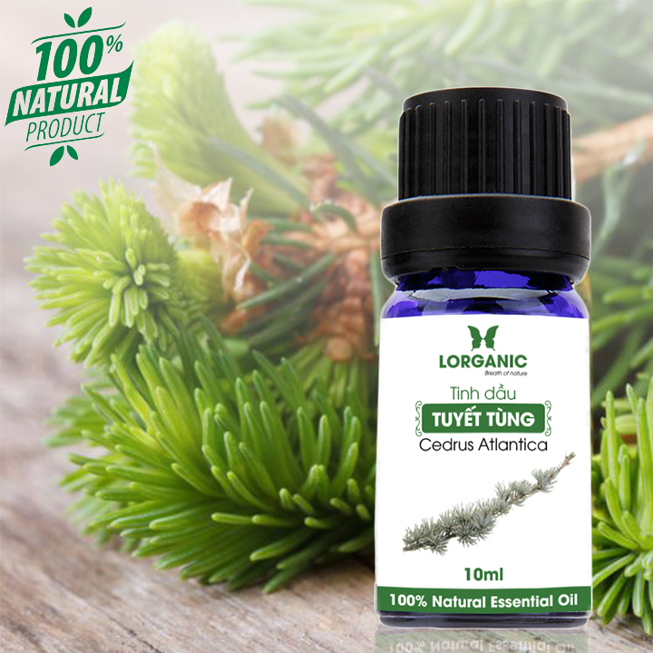 Tinh dầu tuyết tùng Lorganic Cedrus Atlantica 10ml