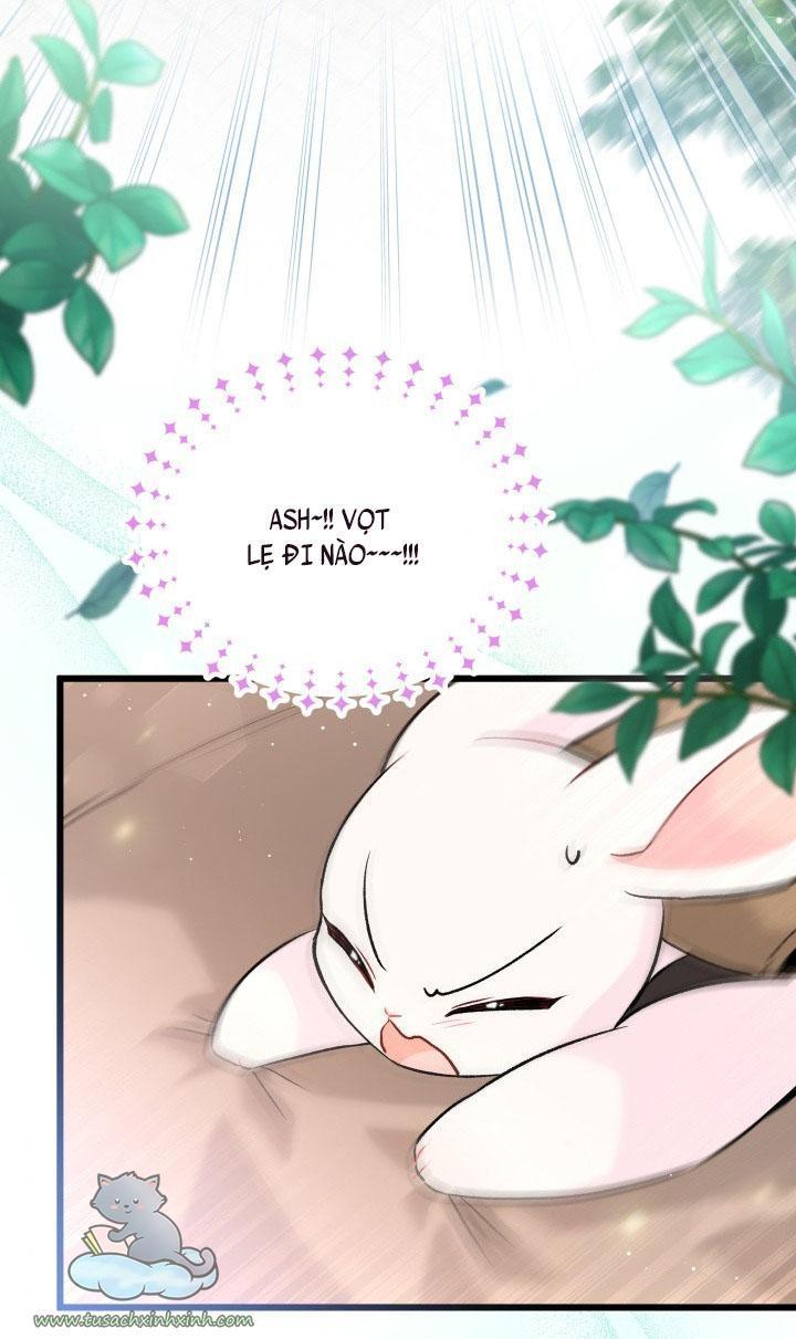 quan hệ cộng sinh giữa báo đen và thỏ trắng chapter 60 28