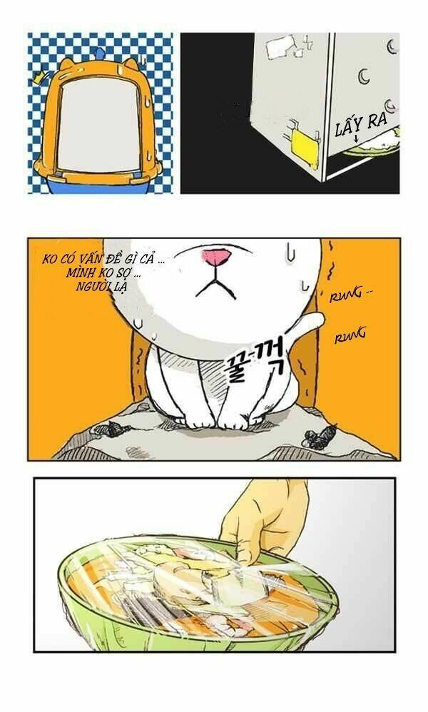 papi nyang chapter 1 16