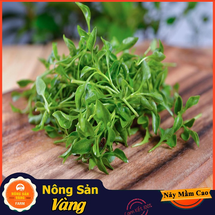 Hạt giống Xà Lách Xoong ( Gói 0,5 Gram ) - Nông Sản Vàng