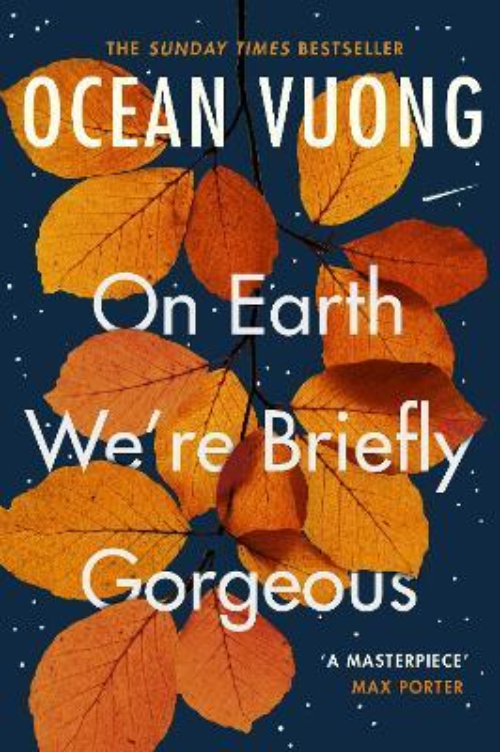 On Earth We're Briefly Gorgeous: A Novel