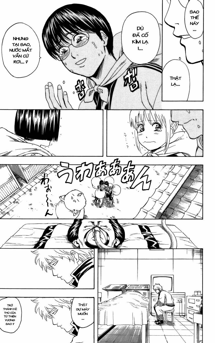 gintama - linh hồn bạc chapter 301 19