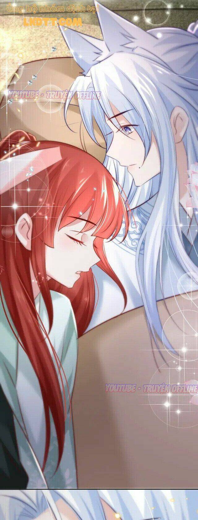 hắc hóa nam chính trực tuyến nuôi thỏ chapter 28 24