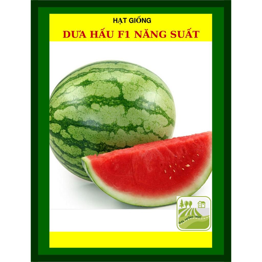Hạt Giống Dưa Hấu F1 Năng Suất Cao Gói 2gram