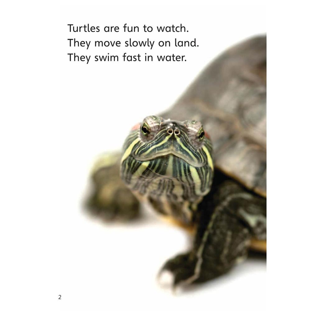[Compass Reading Level 2-8] Caring for Your Turtle - Leveled Reader with Downloadable Audio Free - Sách chuẩn nhập khẩu từ NXB Compass