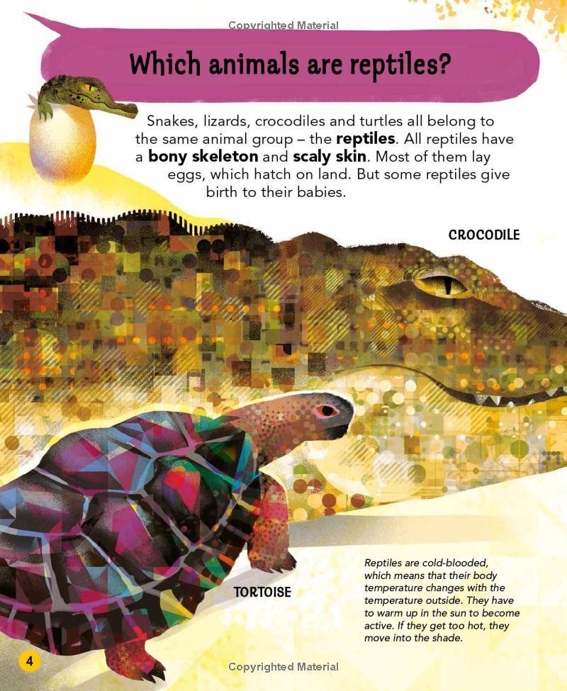 Sách ngoại văn: I Wonder Why Snakes Shed Their Skin