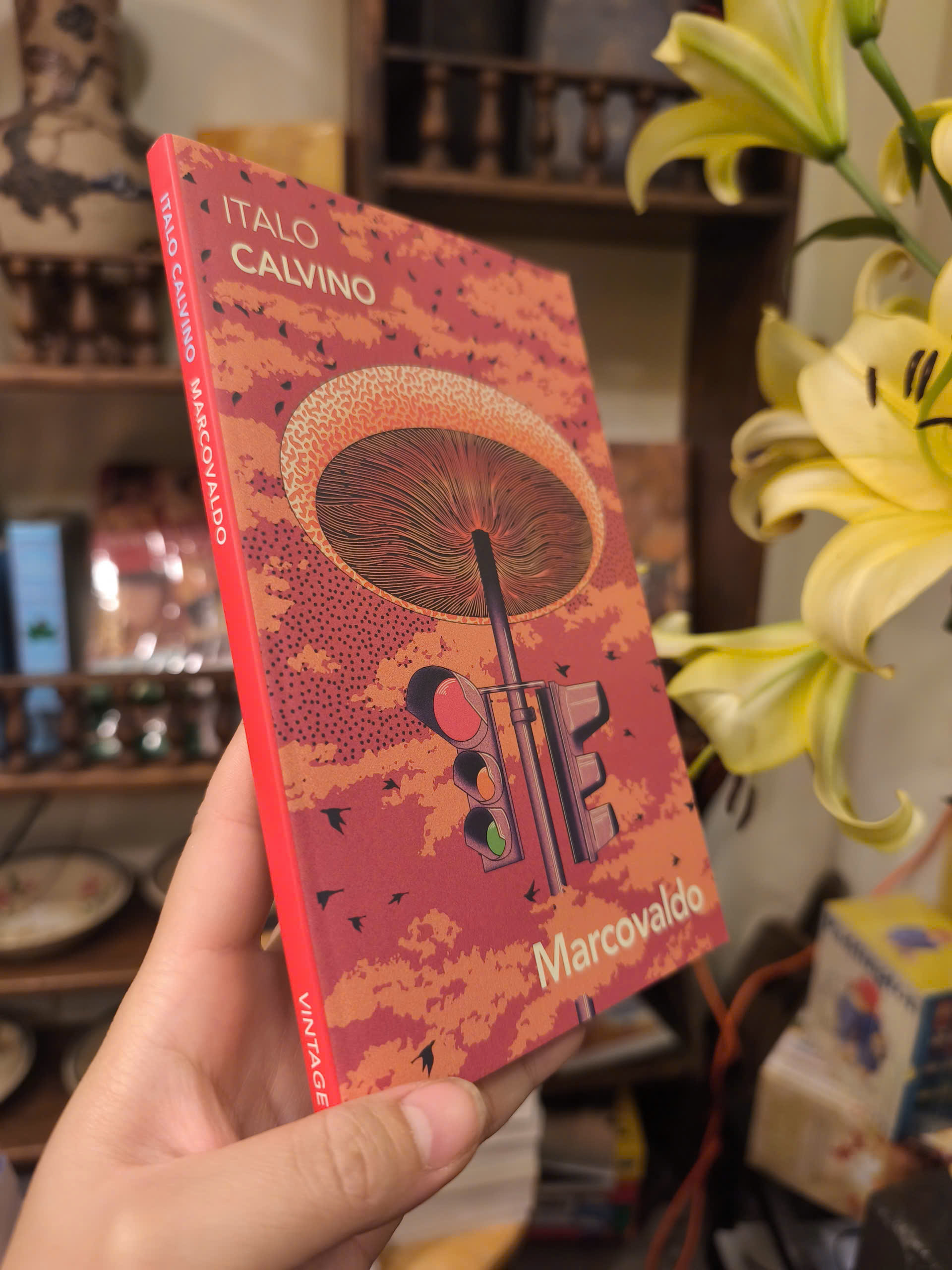 Sách - Marcovaldo by Italo Calvino | Short Stories / Italian Literature / Truyện ngắn Ngoại văn