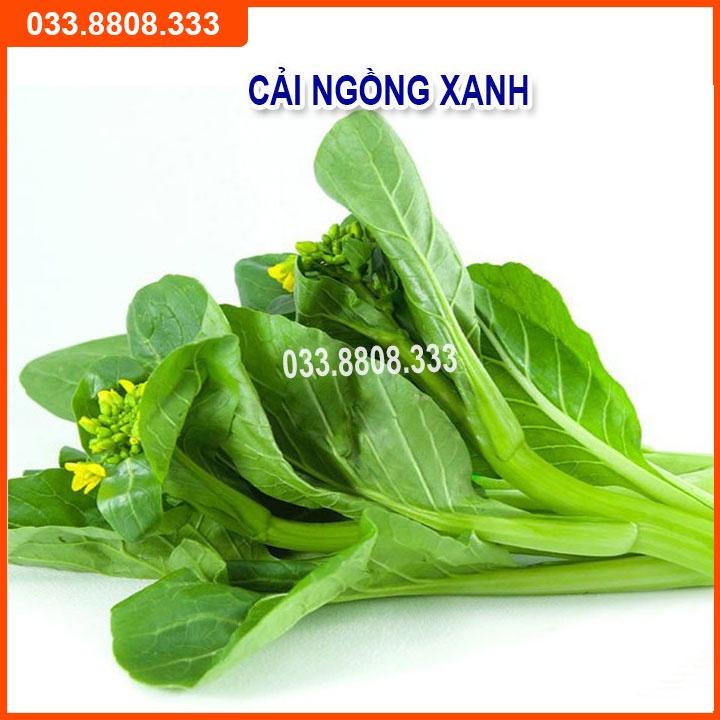 Bộ 5 Loại Hạt Giống Rau Cải Bất Kỳ - Rau Trồng Chậu Nhanh Thu Hoạch