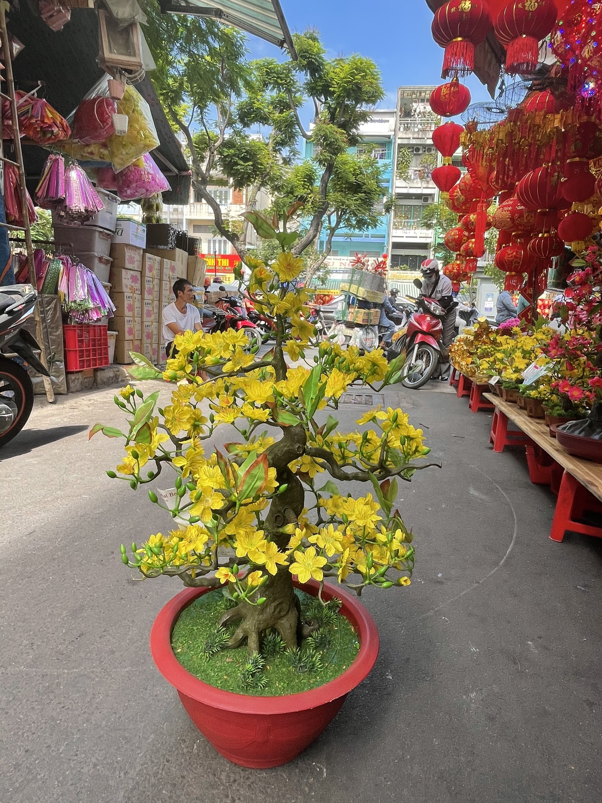 Hình ảnh Cây Hoa Mai Bonsai Nhựa Cao 80 cm Hoa Mai Giả Trang Trí Tết