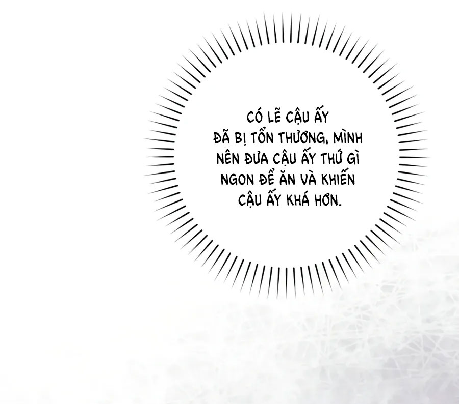 trở thành đứa cháu gái bị ghẻ lạnh trong gia tộc võ giả hùng mạnh chapter 34.2 37