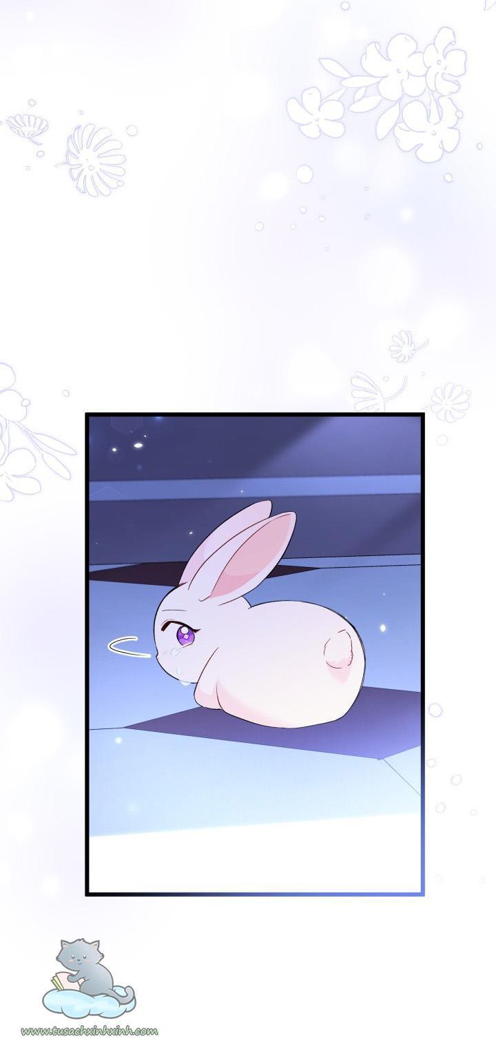 quan hệ cộng sinh giữa báo đen và thỏ trắng chapter 58 46