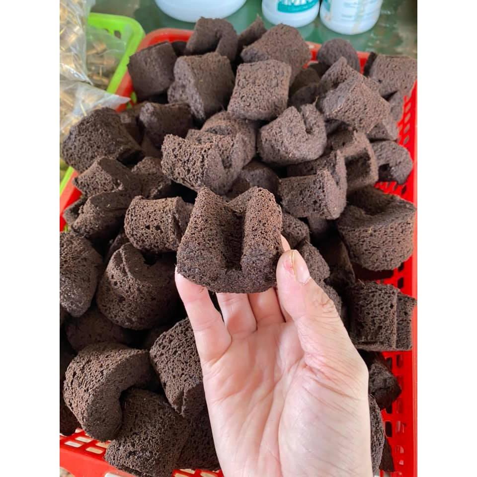Mút ươm kie Hà Lan