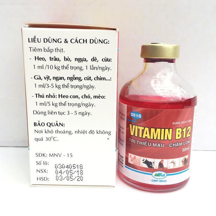 VITAMIN B12 LỌ 50ML CHUYÊN DÙNG CHO LAN - GIÚP TRỪ NẤM BỆNH CHO CÂY SAU MỘT THỜI GIAN MƯA DÀI