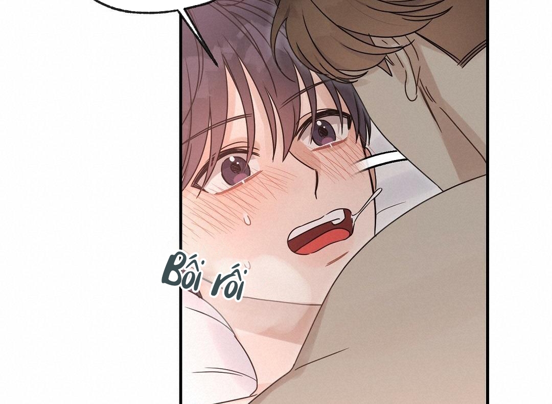 phức cảm tự ti của omega chapter 20 52