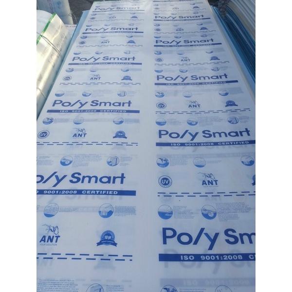 Tấm POLY rỗng ruột màu TRẮNG/màu XANH dày 4mm nhiều kích thước