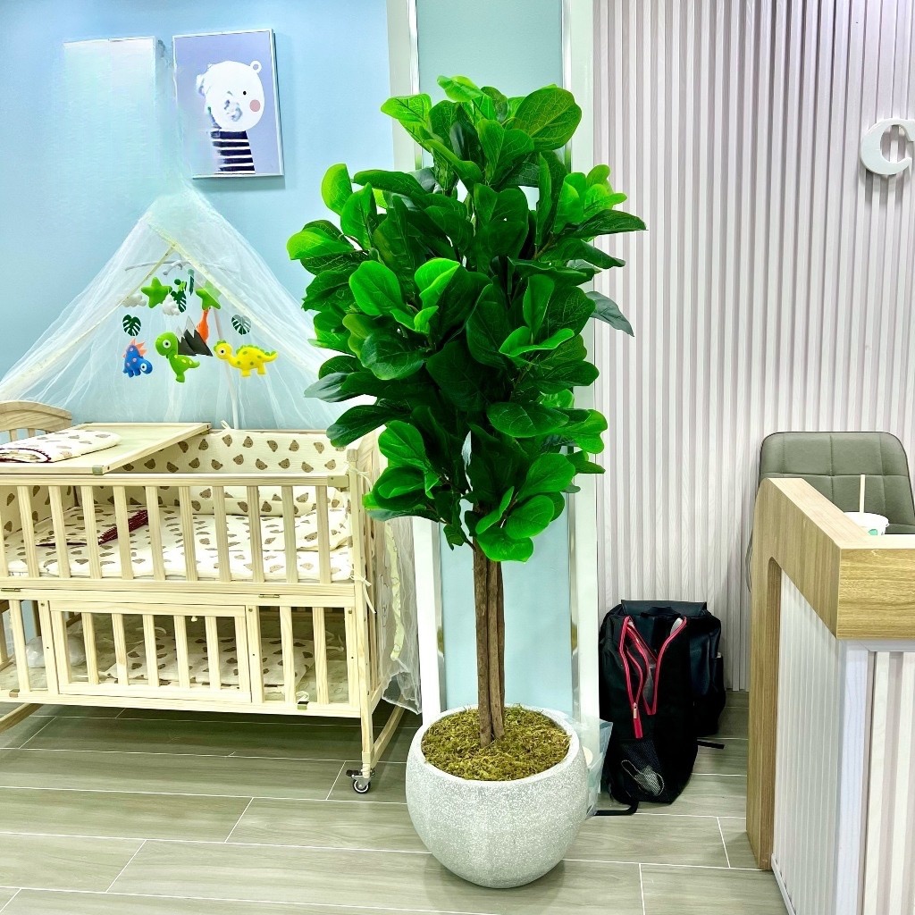 Cây bàng singapore giả - cao 160cm - Cây giả, hoa lụa Decor trang trí nhà cửa