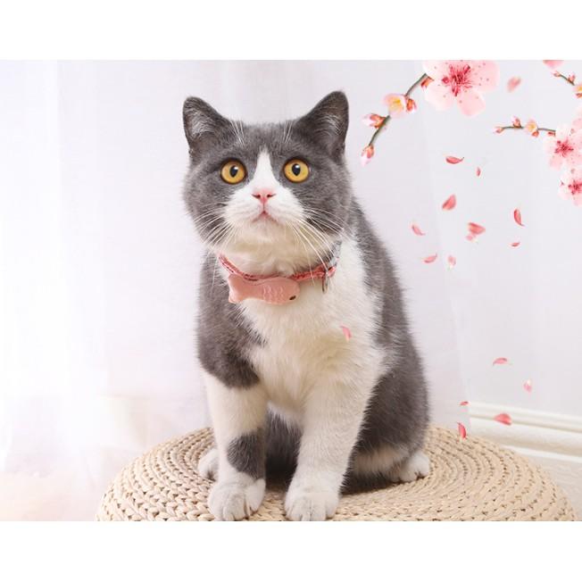 Vòng cổ cho chó mèo siêu cute