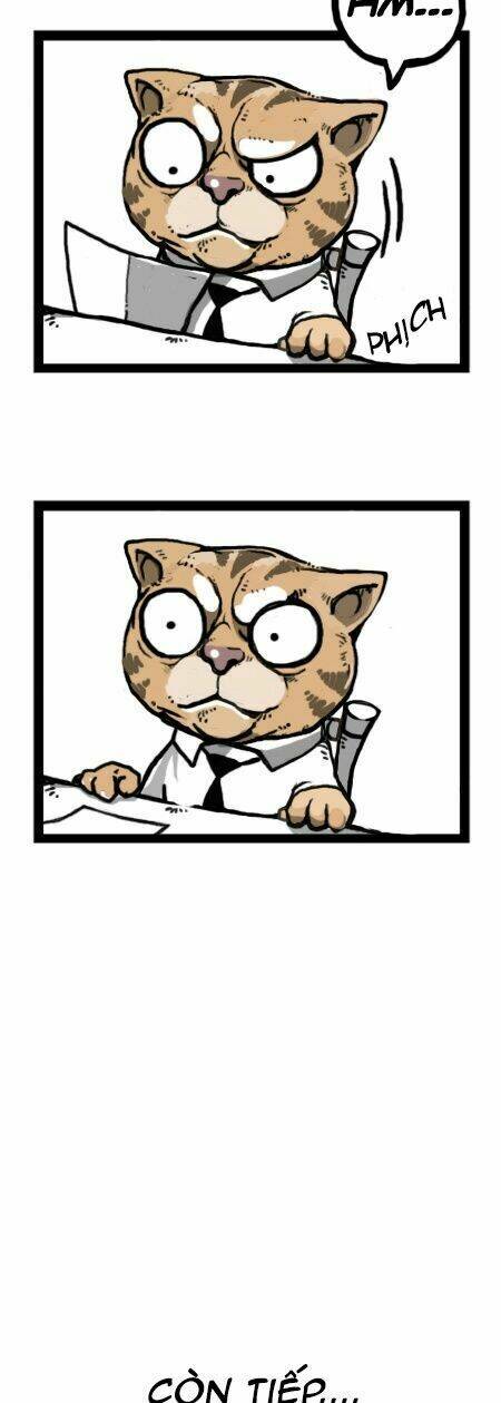 earth, human, and animal chapter 21 23