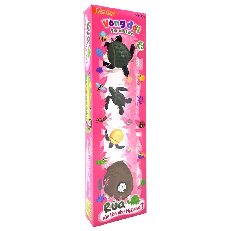 Đồ Chơi Mô Hình Vòng Đời Tự Nhiên - Rùa Lớn Lên Như Thế Nào? - Firstar DK81254