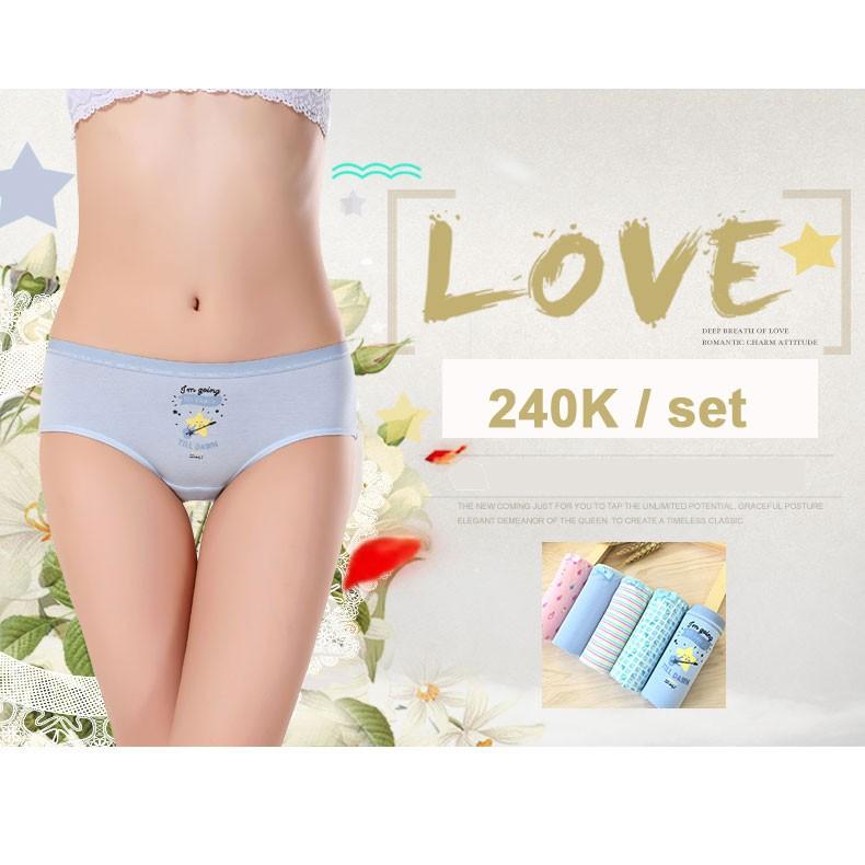 Bigsize Nữ - Quần Chip Ngôi Sao