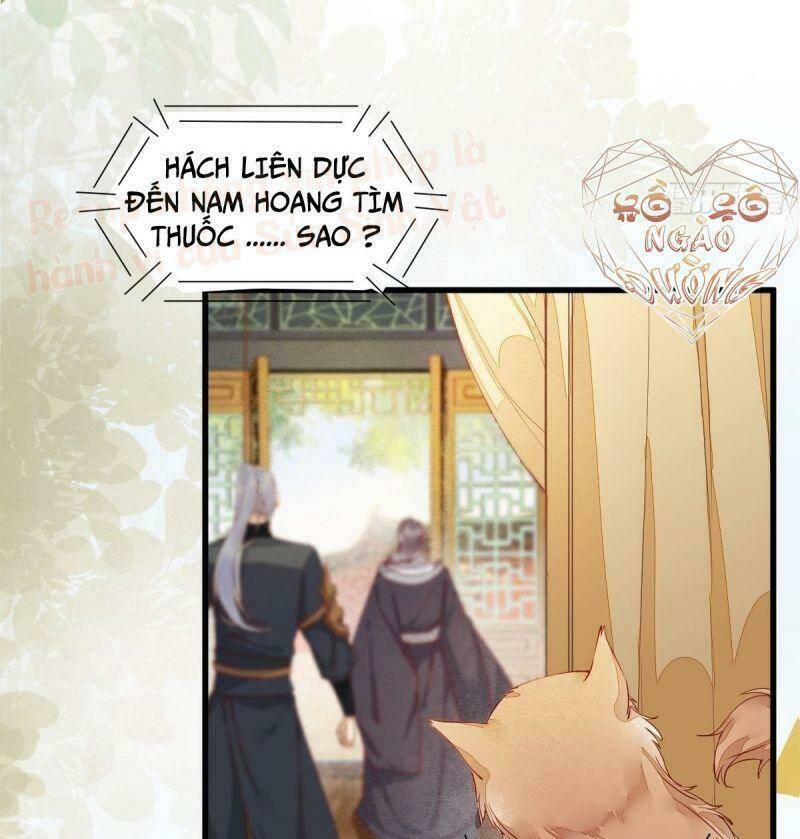 sát thủ vương phi không dễ chọc chapter 36 47