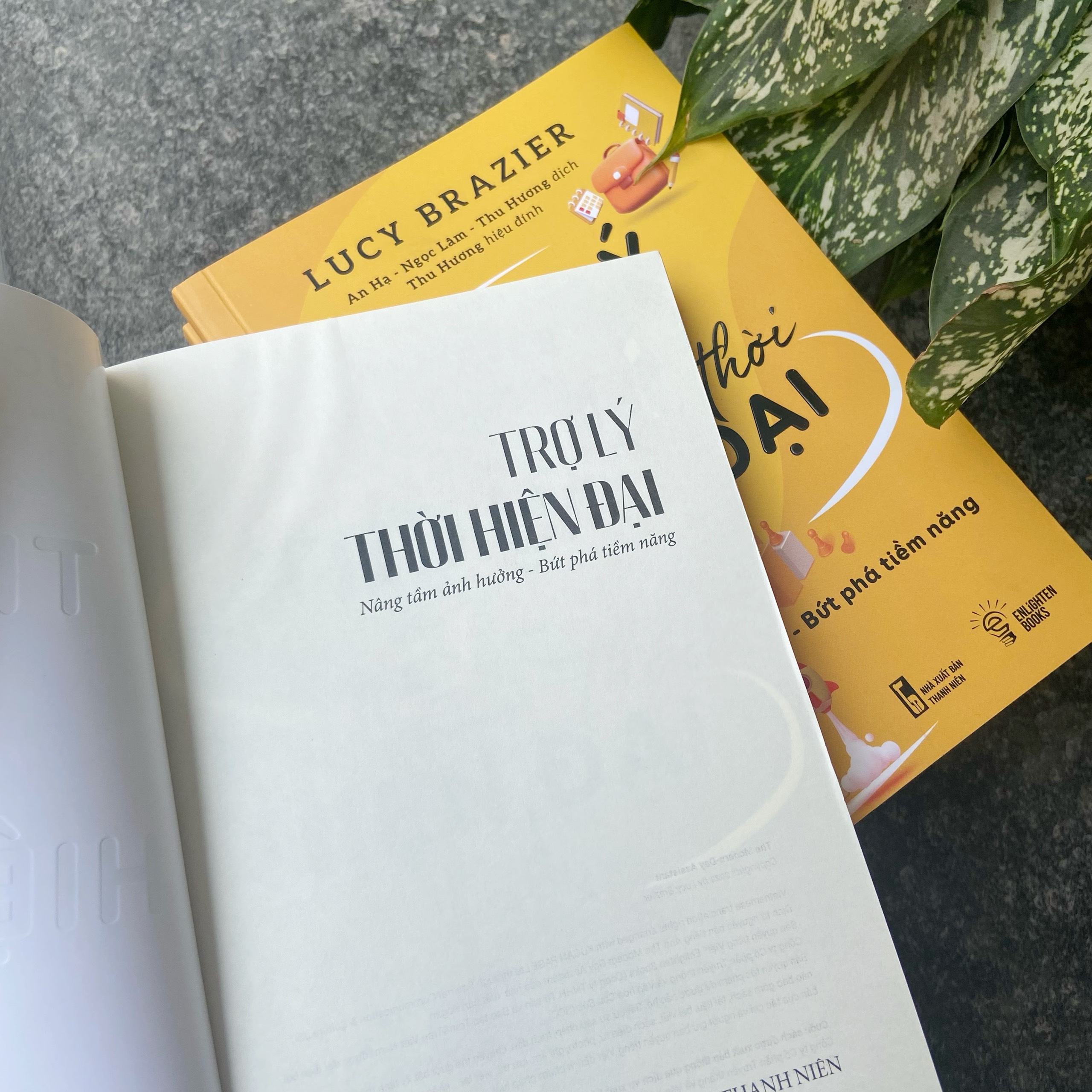 Sách Trợ lý thời hiện đại