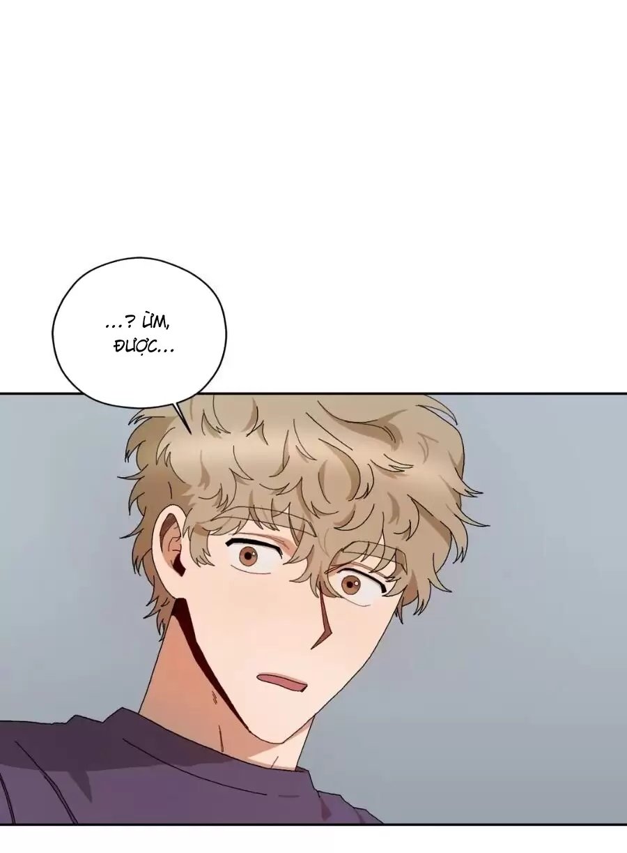 liveta chapter 13 74