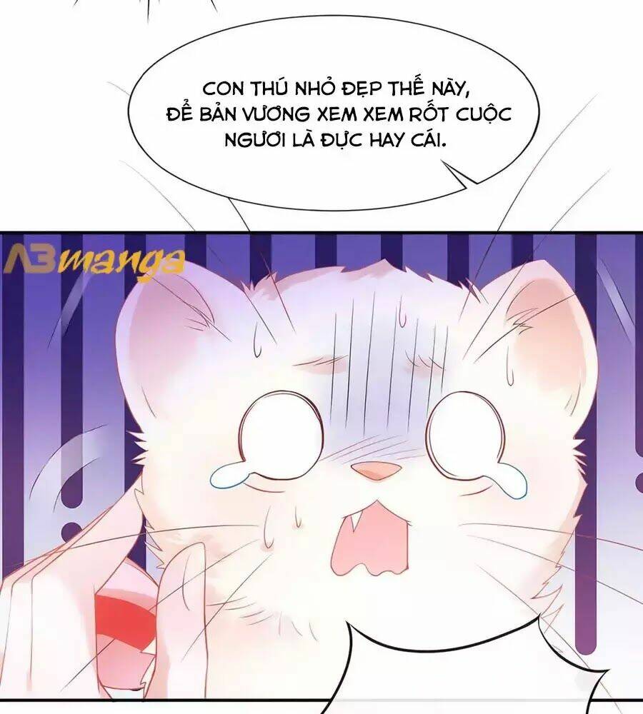 dưỡng thú vi phi chapter 3 15