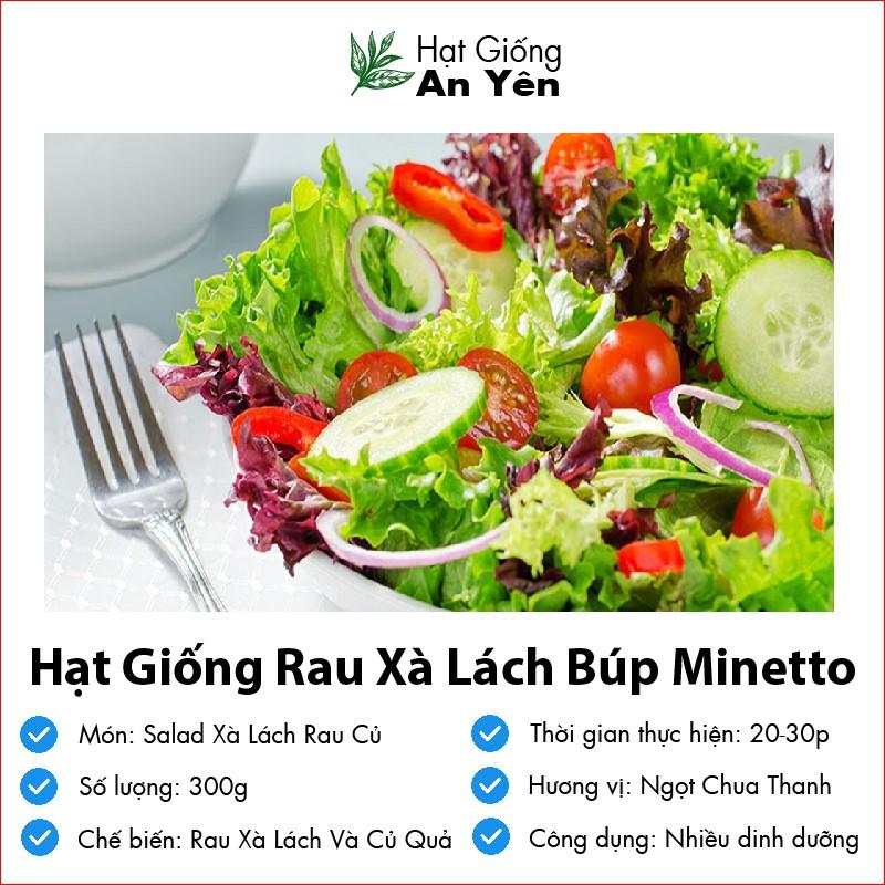 Hạt giống rau Xà Lách chịu nhiệt thu hoạch sớm, dễ trồng, nảy mầm cao, sinh trưởng khoẻ