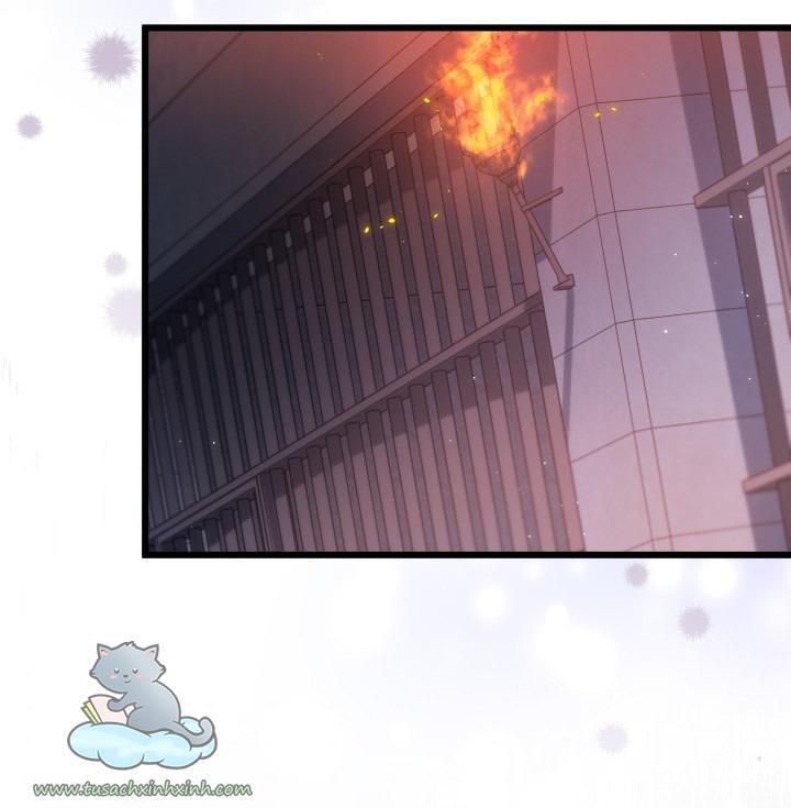 quan hệ cộng sinh giữa báo đen và thỏ trắng chapter 57 28