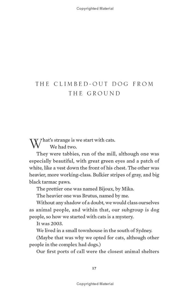 Sách ngoại văn: Three Wild Dogs - And The Truth