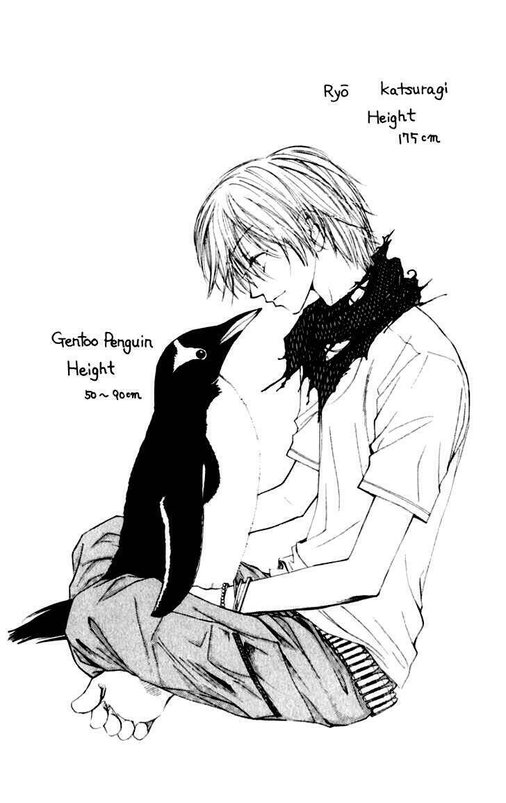 penguin revolution chapter 8 4