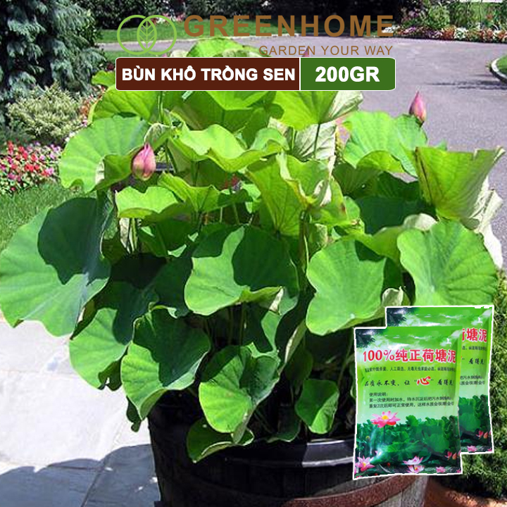 Bùn khô trồng hoa sen, gói 200gr, phù hợp cây thuỷ sinh, ngập nước, cho hoa to, lâu tàn, tốt lá Greenhome